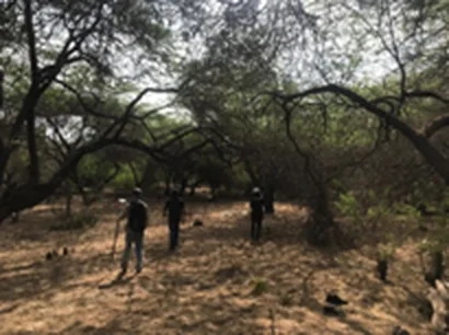 Geological mapping traverse
