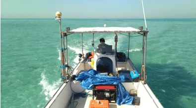 Nearshore survey boat